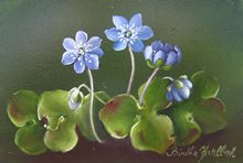Birthe Jarlbæk - Blomstermaleri med blå anemone