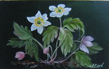 Blomstermaleri med hvide anemoner på rod