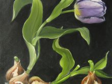Blomstermaleri af lilla tulipan på løg