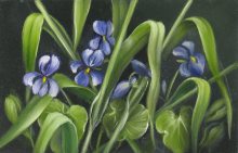 Blomstermaleri med violer